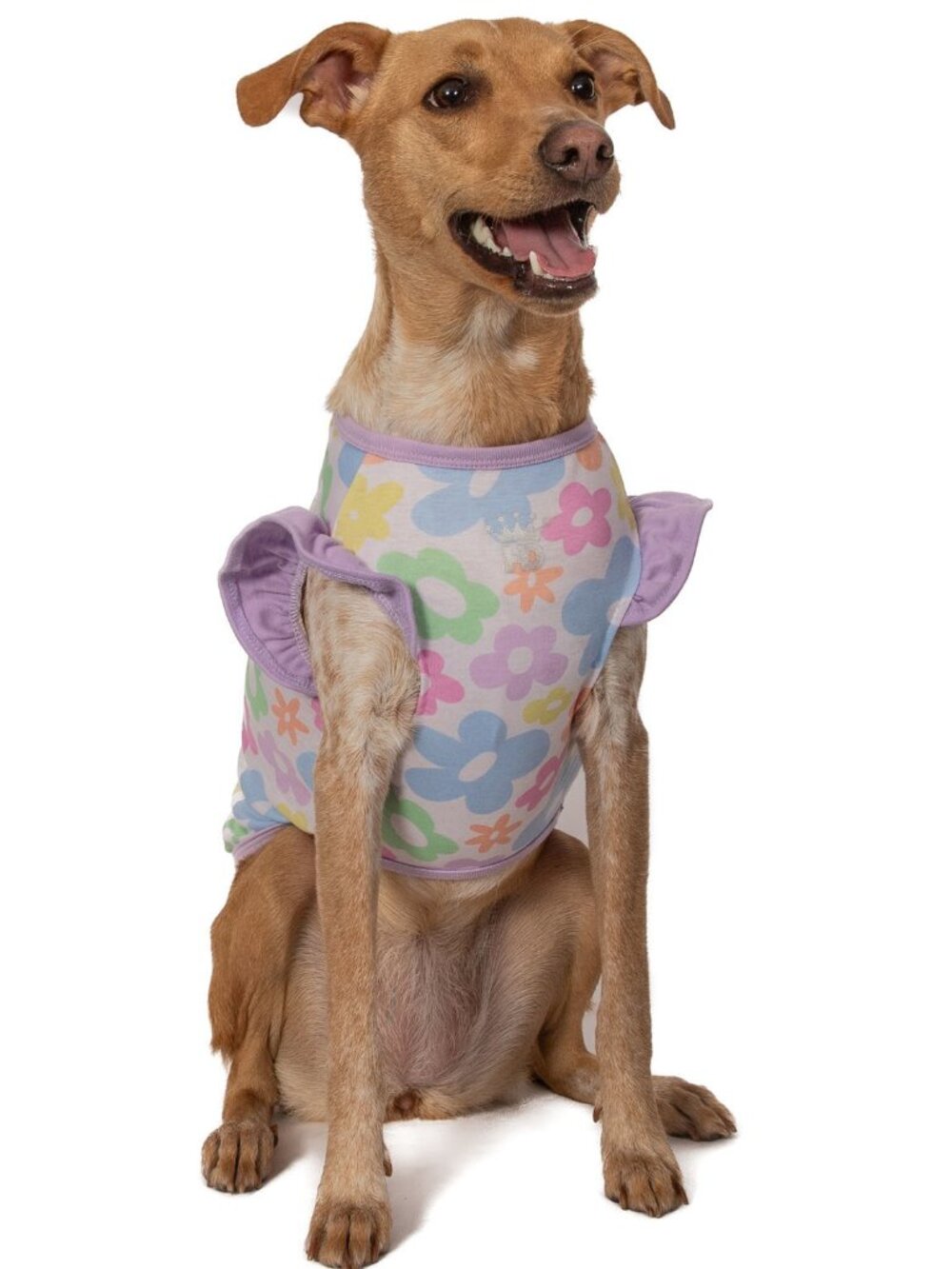 Pastel Flower Ruffle Shirt